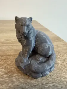 Snow leopard