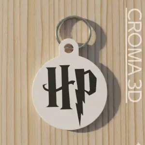 Harry Potter keychain - multicolor