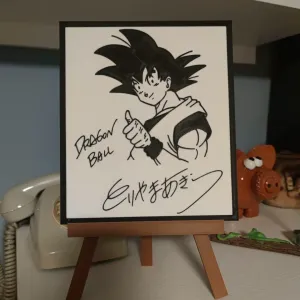 Original Akira Toriyama signed art Dragon Ball
