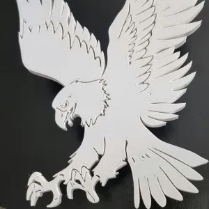 hawk