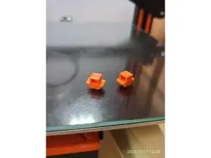 T-NUT