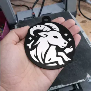 keychain the zodiac capricornio
