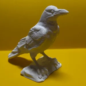 Halloween raven