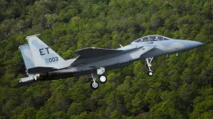 F 15  in Parts - McDonnell Douglas F-15 Eagle in Parts