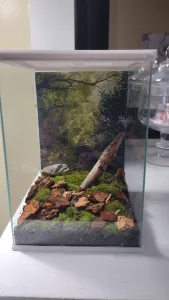 5x7 terrarium