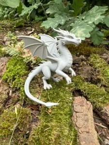 Fantastic Dragon sits