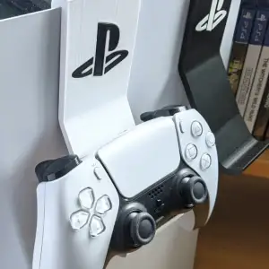 PS5 controller support