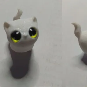 котик
