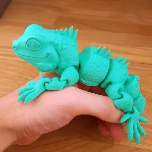 Iguana