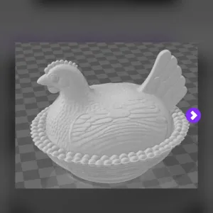 hen in nest