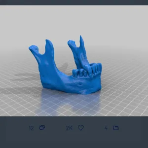 jaw phone stand