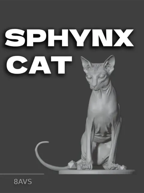 🐾 Sphynx Cat — a Warm Soul in a Quiet Form 🐾