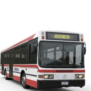 School Bus