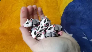 Micro Possum