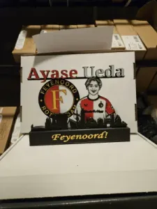 Eredivisie - Feyenoord Ayase Ueda display