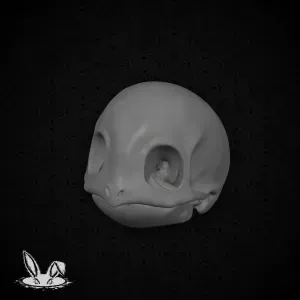 Squirtle Realistic Skull - Bone Series