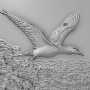 flying
