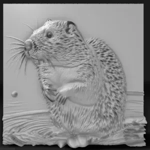beaver