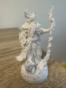 Druid