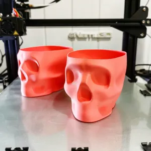 Nora the Vasemode skull v2