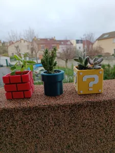 Petits pots de fleurs mario - Petits pots de fleur mario