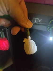 Mini Trash Bag String Light Covers - Transparent Filament