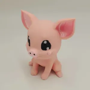 Cute Pig