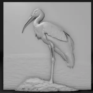 stork