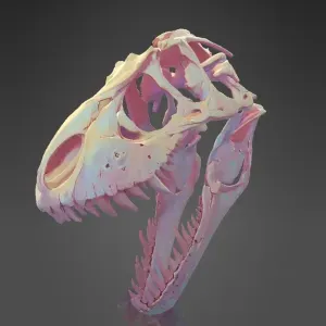 Dinosaur Skull