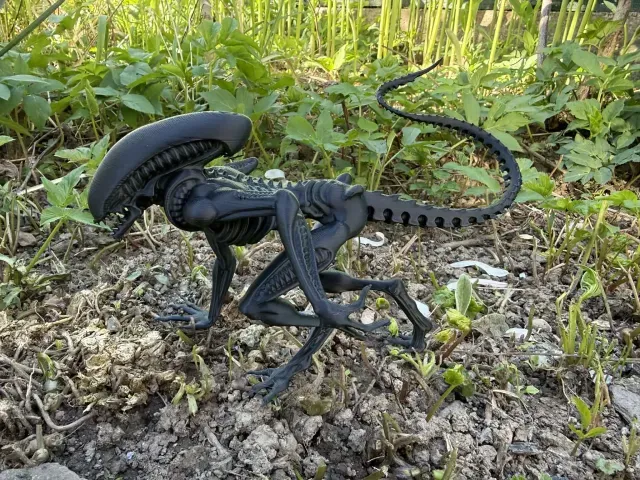 Alien, Xenomorph, monster from space — Фото 4 из 5