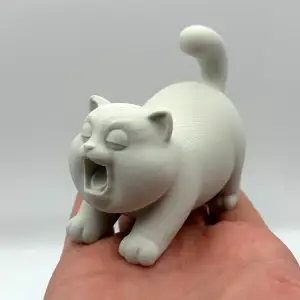 Chubby Yawn Kitten