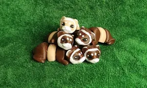 Micro Ferret