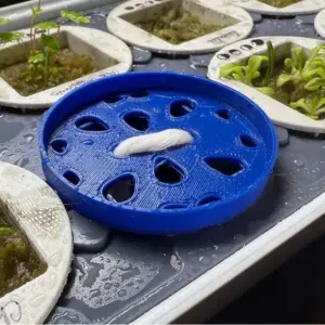 Gardyn microgreen plate