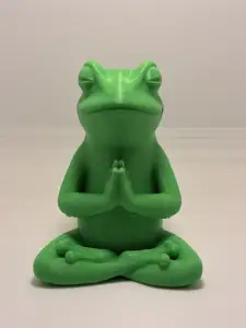 Zen Frog