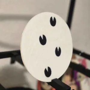 Horse Tracks Coaster