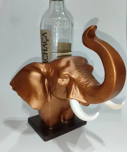 Elephant head