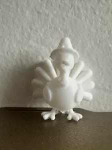 Thanksgiving turkey