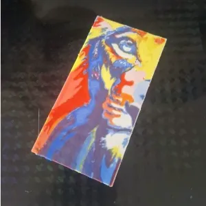 Lioness bookmark
