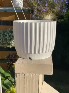 Planter - 6inch with vertical ribs