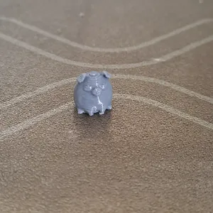 tiny cute pig