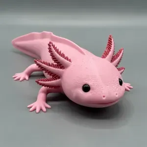 Axolotl 3D Models: Articulated and Flexi STL Files