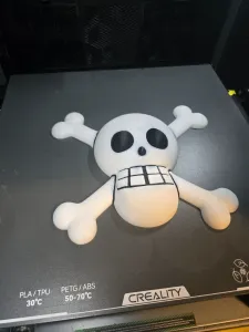 One Piece Skull and bones Pirate Wall Art