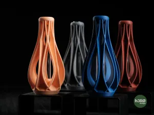 vide • vase