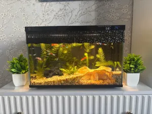 Raising the lid of the Xiaomi Mijia fish tank MYG100 with a