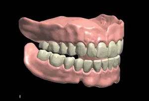 teeth