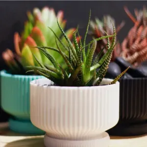 Modern Textured Mini Planter
