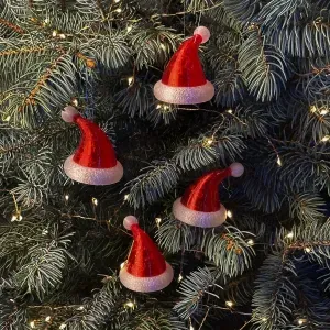 Santa hat