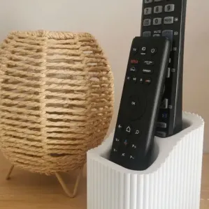 Remote holder