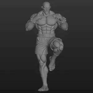 street fighter saga
