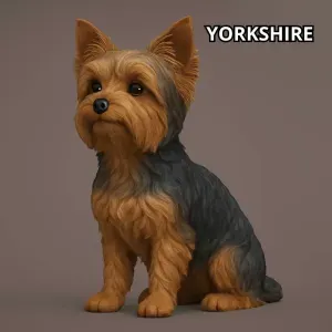 Yorkshire